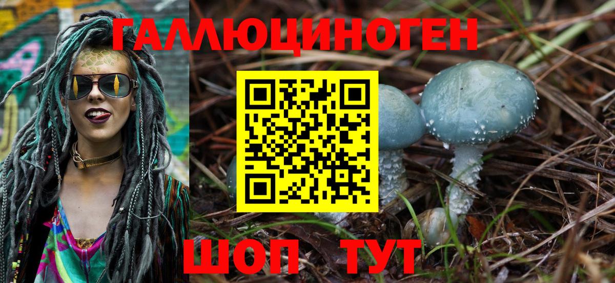 Псилоцибиновые грибы прущие грибы Георгиевск
