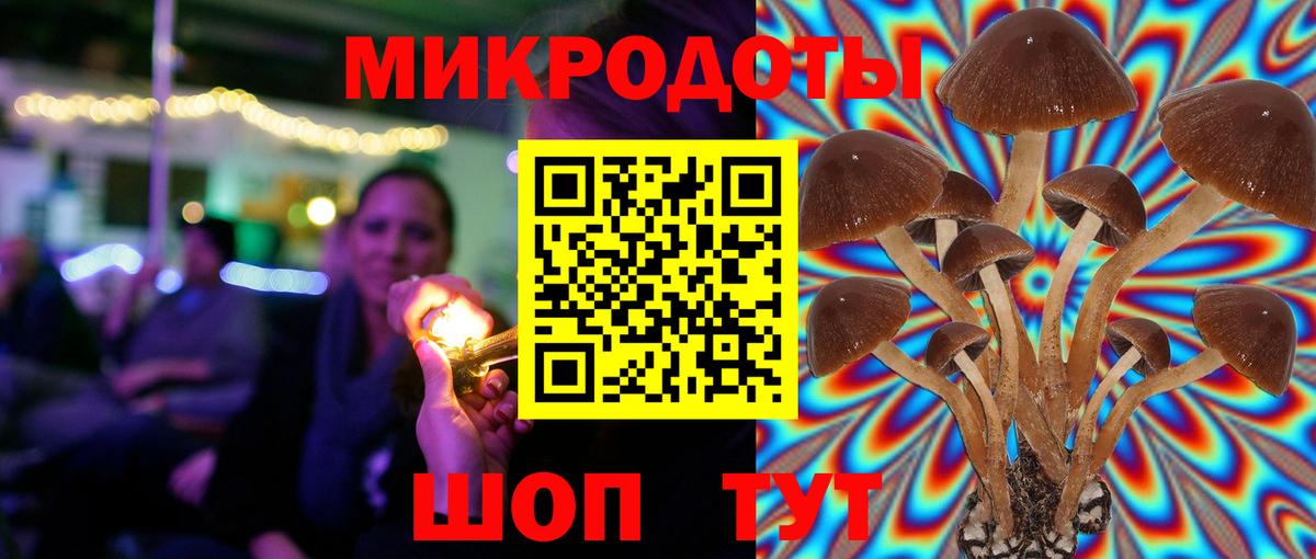 Псилоцибиновые грибы GOLDEN TEACHER  Вход с VPN  Георгиевск 